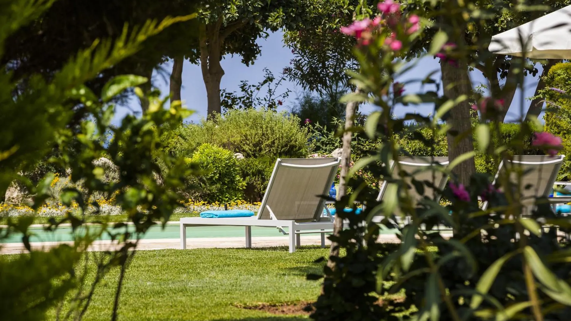 Villa Dionysus Argostoli  Greece